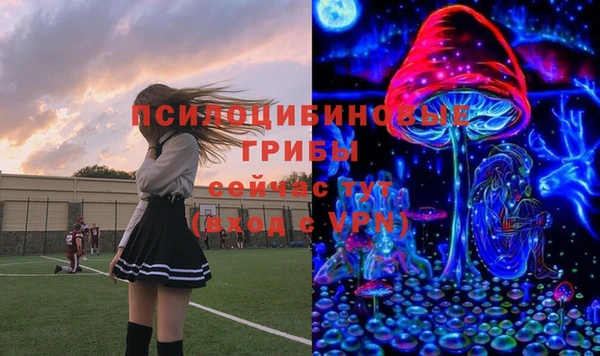 дурь Кулебаки